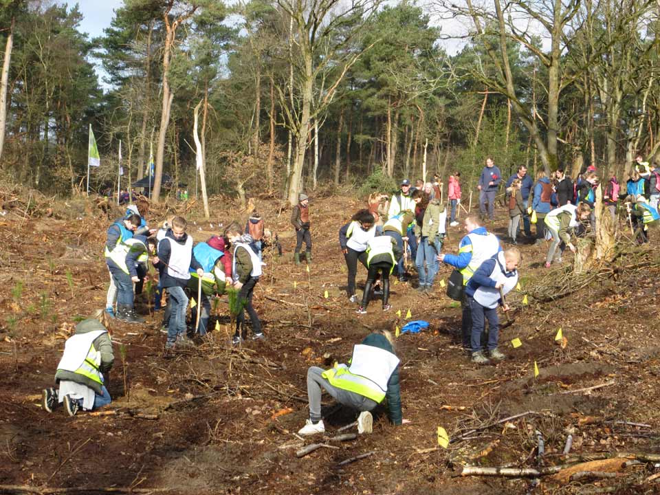 boomfeestdag_kinderen_2018_Hortus_Harderwijk_natuur_milieu-educatie_CT_04 boomfeestdag_kinderen_2018_Hortus_Harderwijk_natuur_milieu-educatie_CT_04