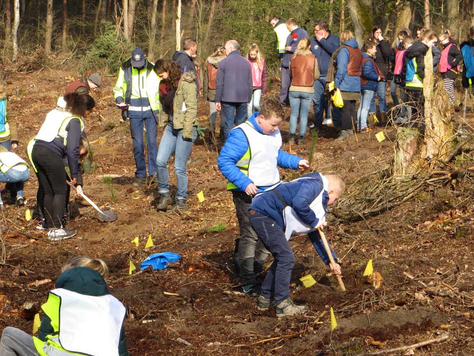 boomfeestdag_kinderen_2018_Hortus_Harderwijk_natuur_milieu-educatie_CT_05 boomfeestdag_kinderen_2018_Hortus_Harderwijk_natuur_milieu-educatie_CT_05