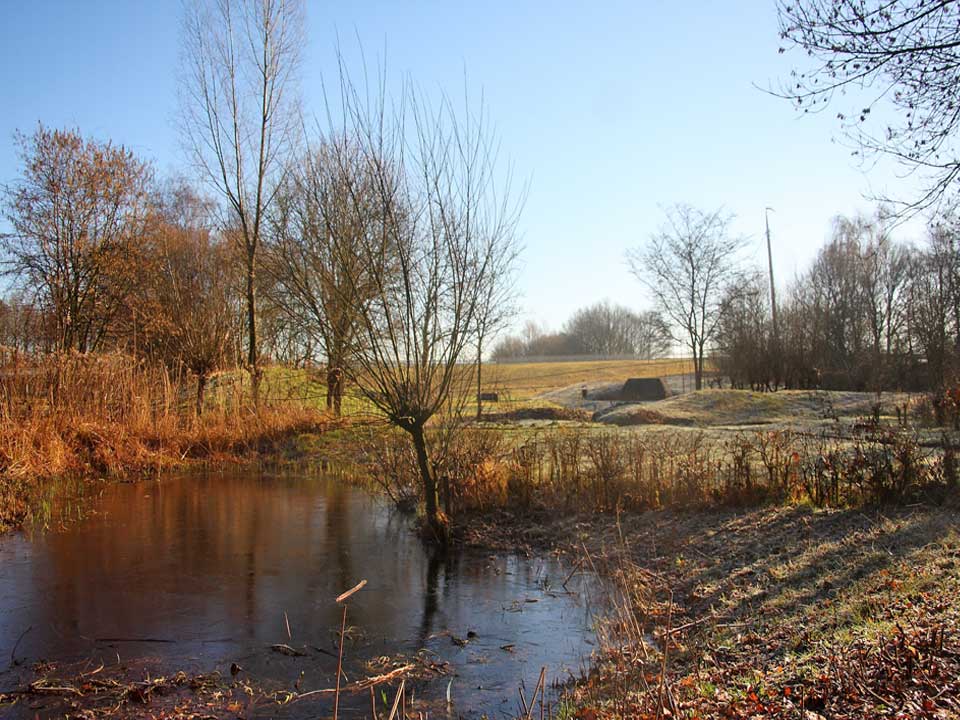 winterbeeld_natuurtuin_2018_Hortus_Harderwijk_natuur_milieu_educatie_CT winterbeeld_natuurtuin_2018_Hortus_Harderwijk_natuur_milieu_educatie_CT