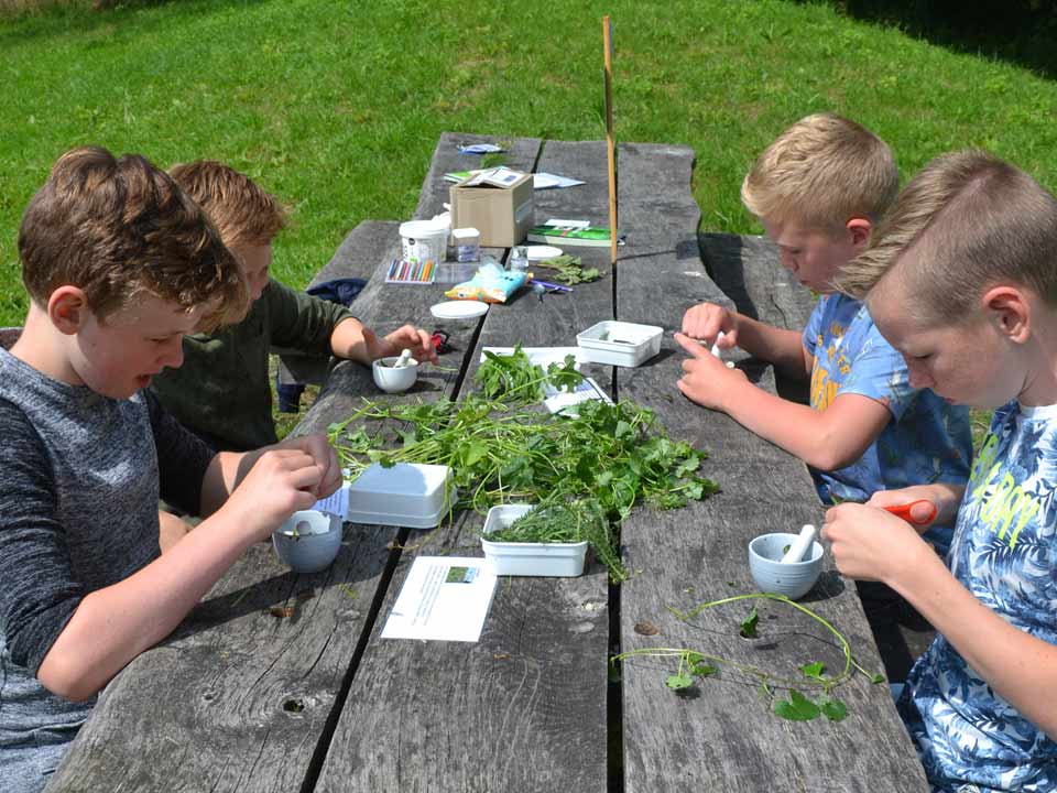 lekker-groen_ontdekken_buitenles_2018_Hortus_Harderwijk_natuur_milieu_educatie_03_CT lekker-groen_ontdekken_buitenles_2018_Hortus_Harderwijk_natuur_milieu_educatie_03_CT