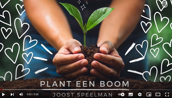 Plant een Boom
