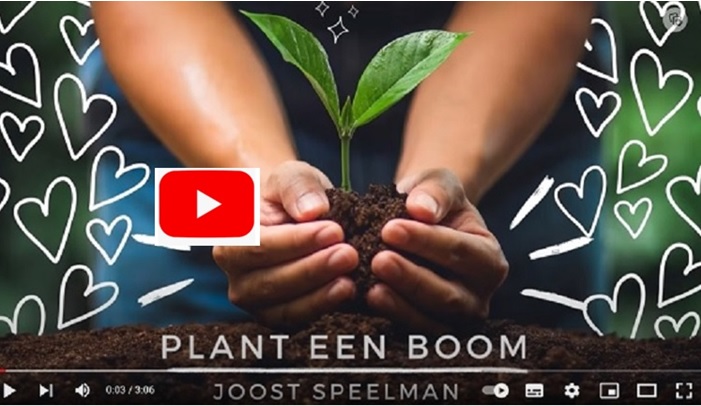 Plant een boom youtube