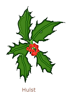 hulst