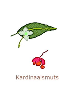 kardinaalsamuts