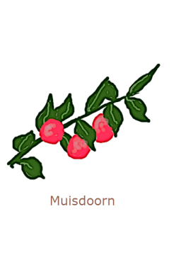 muisdoorn