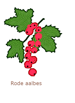 rodeeaalbes